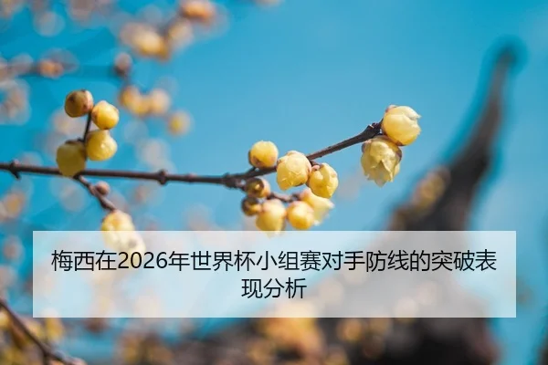 mei-xi-zai-nian-shi-jie-bei-xiao-zu-sai-dui-shou-fang-xian-de-tu-po-biao-xian-fen-xi-2-527.jpg