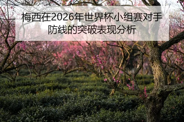 梅西在2026年世界杯小组赛对手防线的突破表现分析