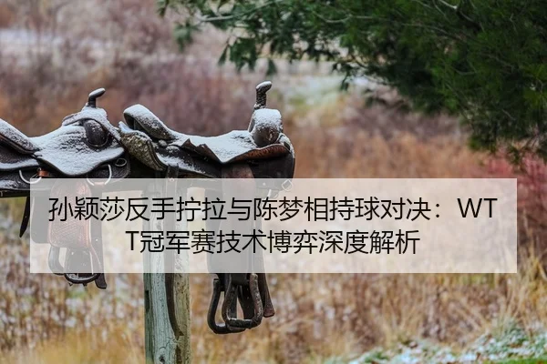 孙颖莎反手拧拉与陈梦相持球对决：WTT冠军赛技术博弈深度解析