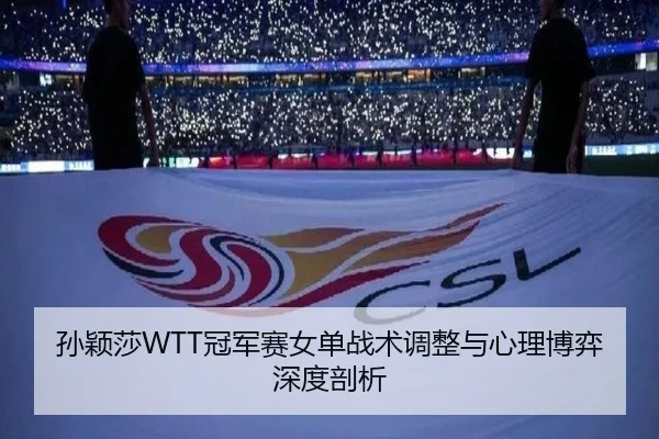 sun-ying-sha-guan-jun-sai-nv-dan-zhan-shu-tiao-zheng-yu-xin-li-bo-yi-shen-du-pou-xi-3-566.jpg